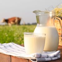 Sütün Saymakla Bitmeyen Faydaları!