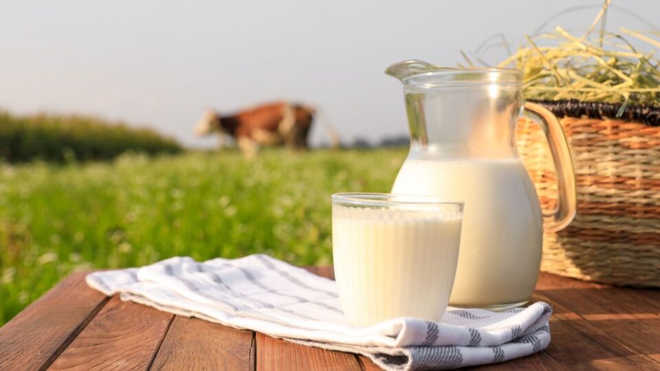 Sütün Saymakla Bitmeyen Faydaları!