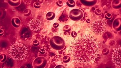 "HIV olgusu 2012 yılından bu yana 4 kat arttı"