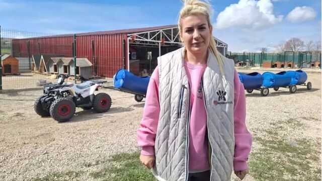 Sokak hayvanları derneğinde 20 milyon TL'lik dolandırıcılık iddiası!