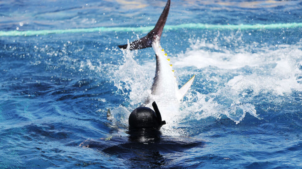 Antalya'da takip cihazı takıldı, İtalya'dan sinyal verdi