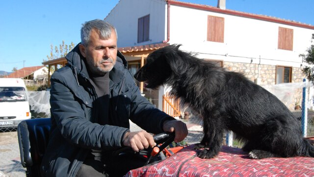 Çiftçinin köpeği 'Kara' traktörün kaportasından inmiyor