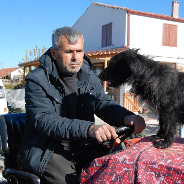 Çiftçinin köpeği 'Kara' traktörün kaportasından inmiyor
