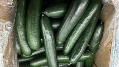 ABD'de salatalıklarda salmonella alarmı!