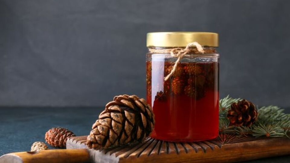 Tam Bir Mucize Kozalak Şurubunun Faydaları