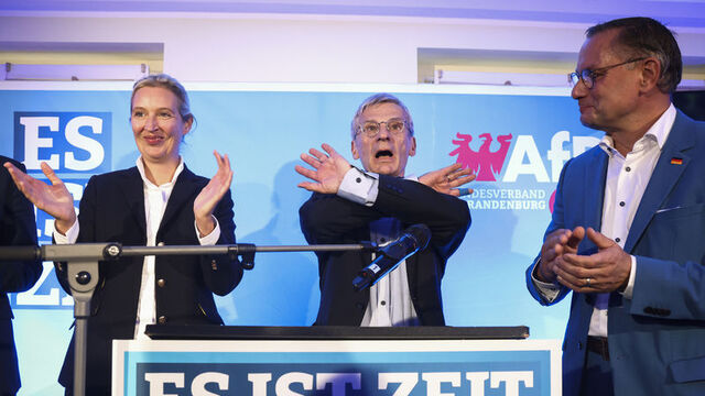 Aşırı sağcı AfD partisi AB'den çıkmak istiyor