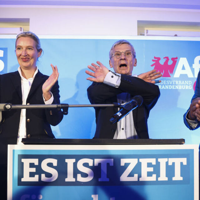 Aşırı sağcı AfD partisi AB'den çıkmak istiyor