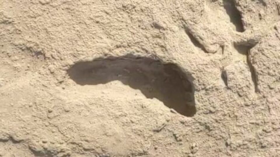 1.5 milyon yıllık ayak izlerinin sırrı çözüldü