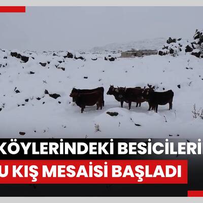 Dağ köylerindeki besicilerin zorlu kış mesaisi başladı