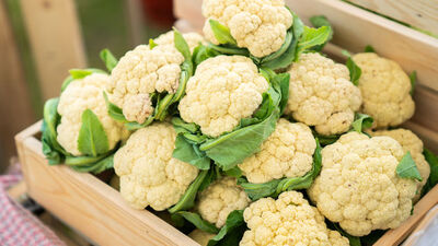 Karnabaharın Bilinmeyen Faydaları