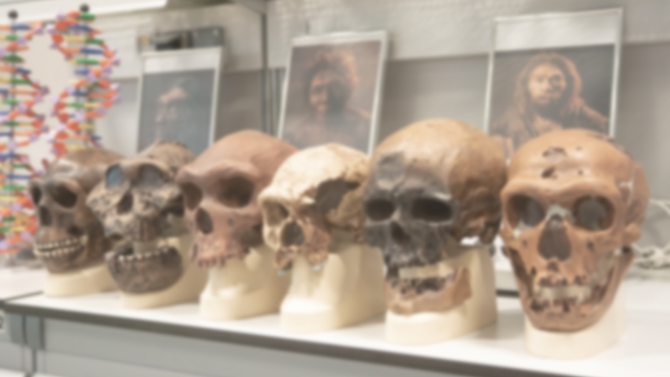 Yeni bir insan türünün keşfedildiği iddia edildi