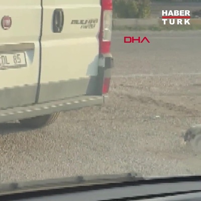 Köpeği minibüsün arkasına iple bağlayıp çekti; o anlar kamerada
