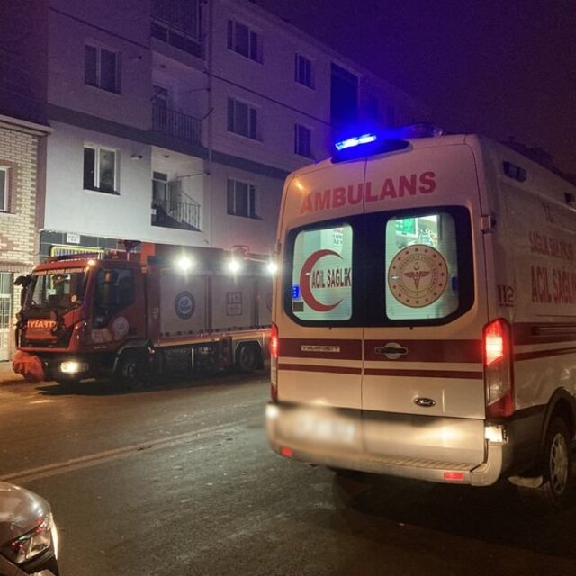 Evde yangın çıktı: 1 kadın ve 2 kedi ölü bulundu