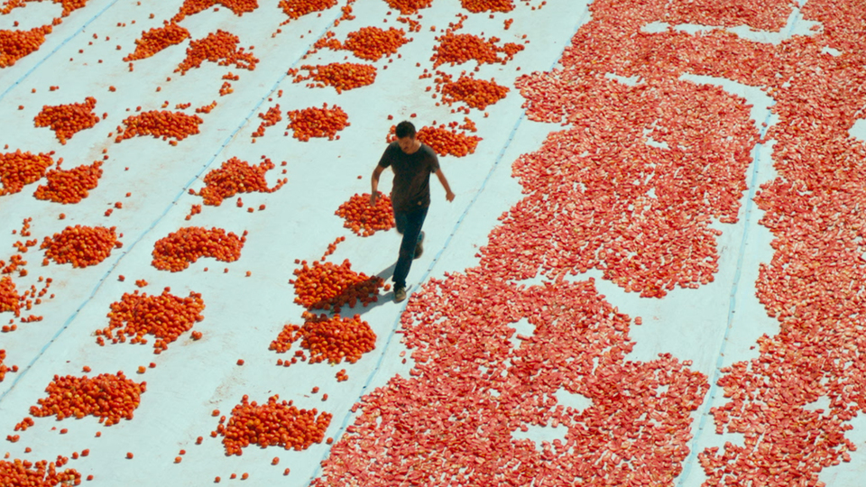 İstanbul Modern Sinema'da 'Biz de Varız!'