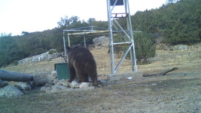 Manisa'da ilk kez görüntülendi