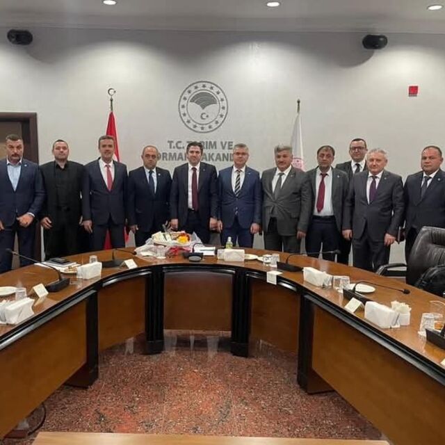 Zeytinciler Ankara'da sorunlarını anlattı