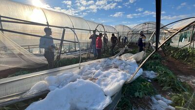 Antalya'da 50 dekar serada zarar