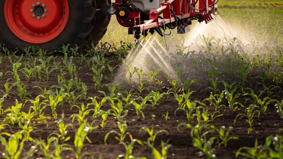 "Erken hasat nedeniyle ürünlerde pestisit çıkıyor"
