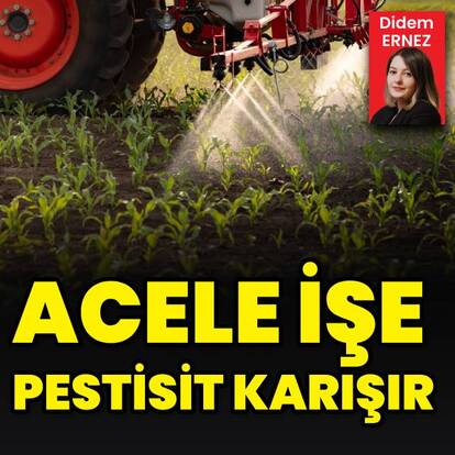 "Erken hasat nedeniyle ürünlerde pestisit çıkıyor"