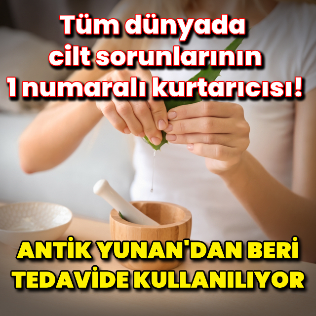 Aloe vera gerçekten cilt sorunlarımızın kurtarıcısı olabilir mi?