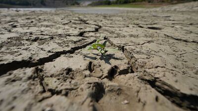 İklim değişikliği toprağı nasıl etkiliyor?