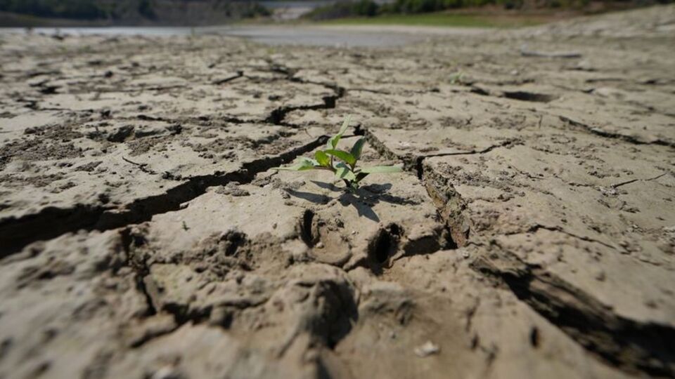İklim değişikliği toprağı nasıl etkiliyor?