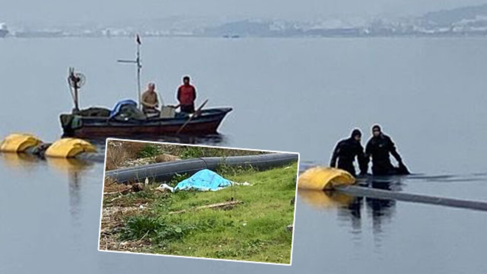 Balıkçıların ağına takıldı! Elleri ve ayakları bağlanmış!