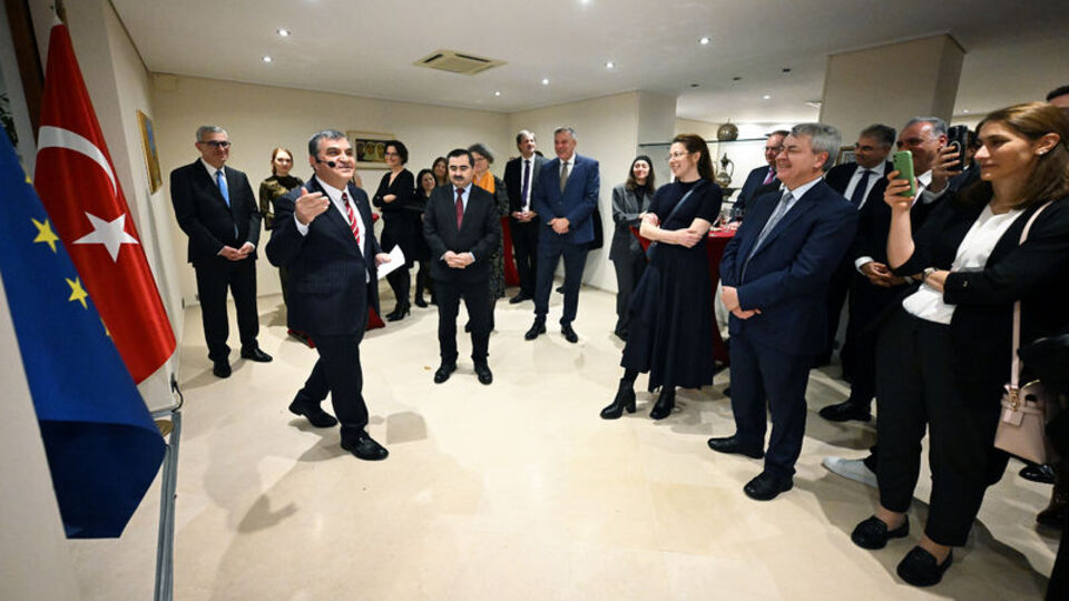 Türkiye-AB Ortaklık Anlaşması'nın 60. yılı kutlandı