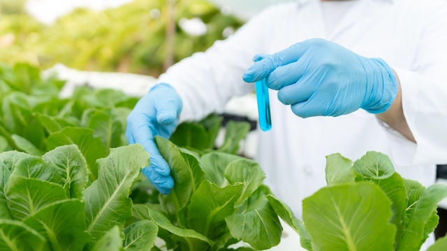 "2021'e göre pestisit oranı yüzde 35 azaldı"