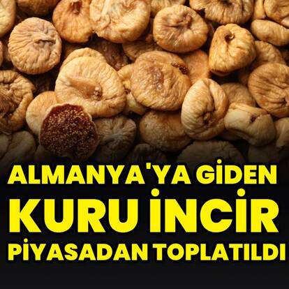 Almanya'ya giden kuru incirler piyasadan toplatıldı