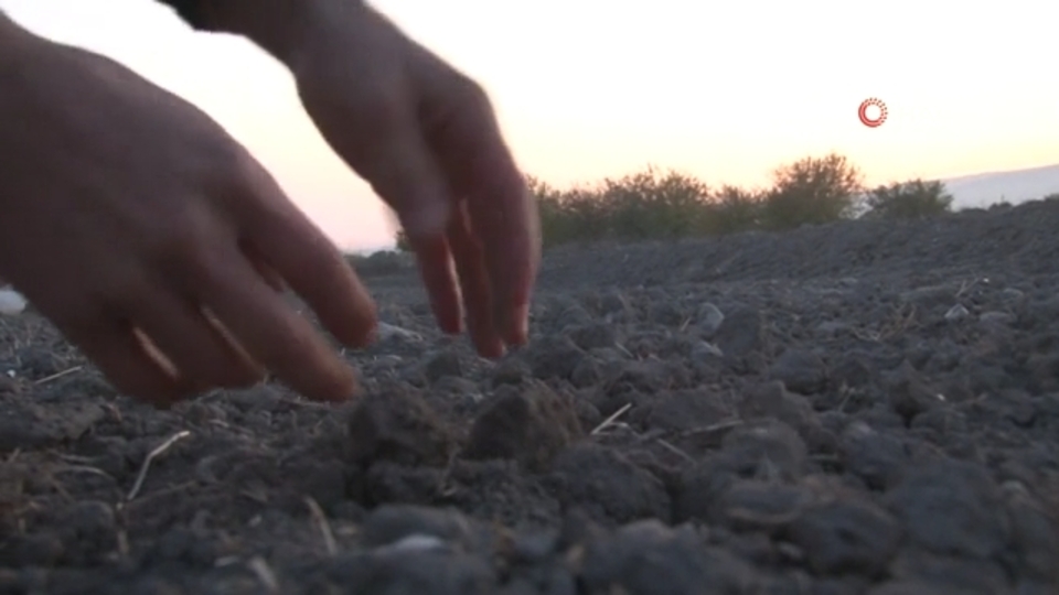 Şanlıurfa'da çiftçiler tedirgin!