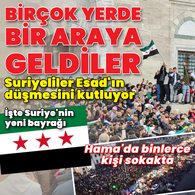 Suriyeliler Esad'ın düşmesini kutluyor