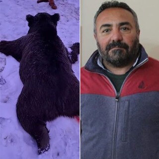  Bir kişiyi öldüren ayıdan haber var!