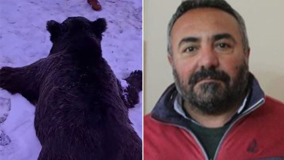 Bir kişiyi öldüren ayıdan haber var!