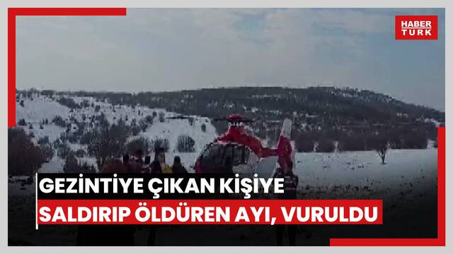  Gezintiye çıkan kişiye saldırıp öldüren ayı, vuruldu