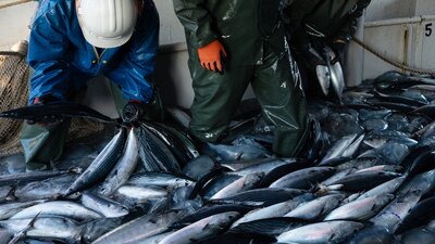19 yıl sonra rekor kırıldı!