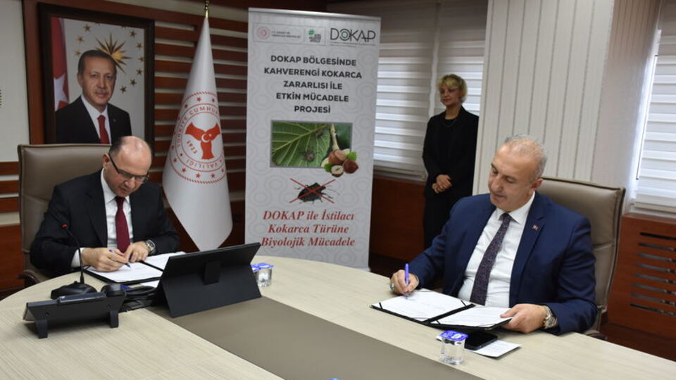 DOKAP'tan kahverengi kokarcayla mücadeleye destek
