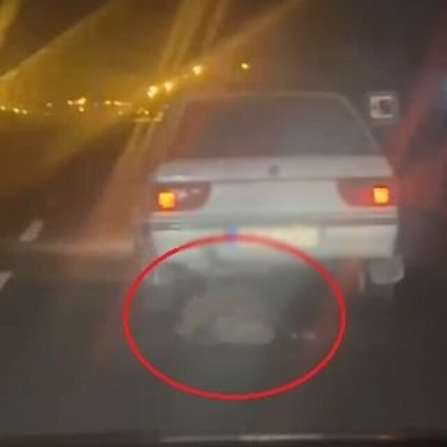 Avladığı domuzu otomobilin arkasında sürükledi; o anlar kamerada
