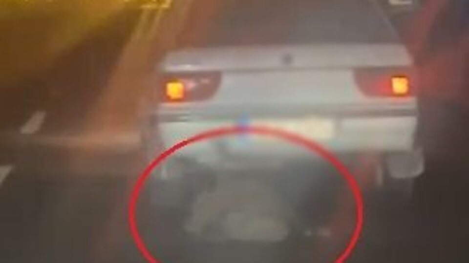 Avladığı domuzu otomobilin arkasında sürükledi; o anlar kamerada