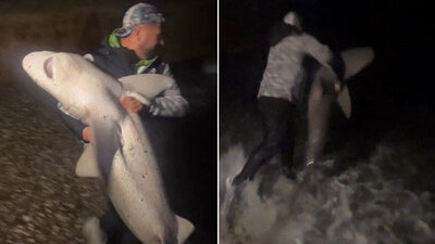 Boyu kadar köpek balığı tuttu ve...