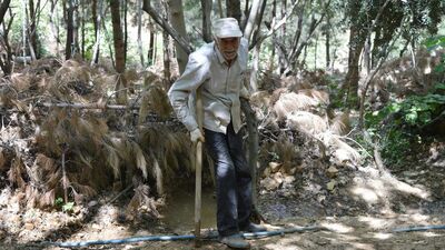 30 binin üzerinde fidan dikti! "Ölünceye kadar devam edeceğim"