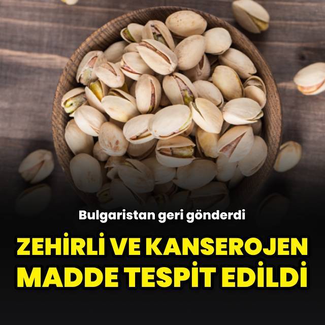 Bulgaristan'a giden Antep fıstıkları geri gönderildi