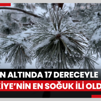 Sıfırın altında 17 dereceyle Türkiyenin en soğuk ili oldu