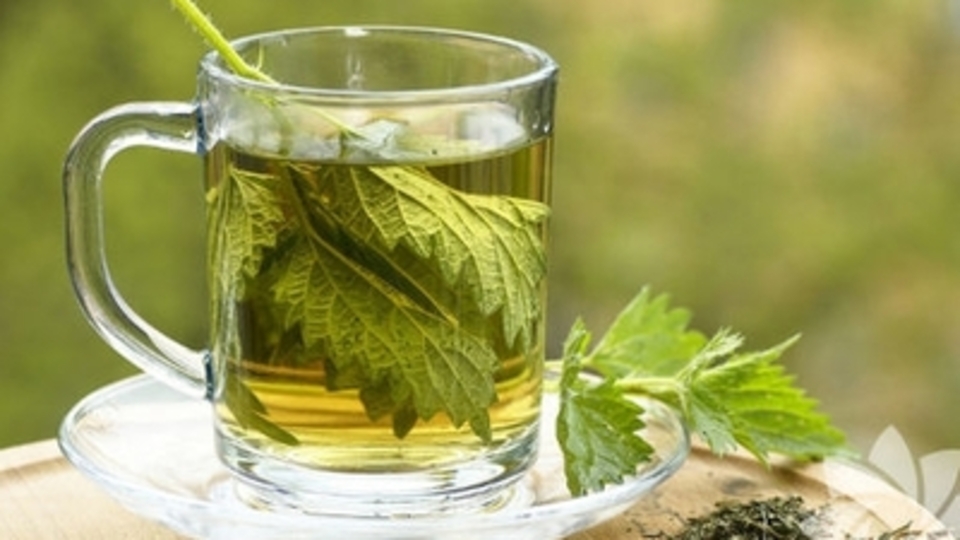Maydanoz Çayı Faydaları Nelerdir?