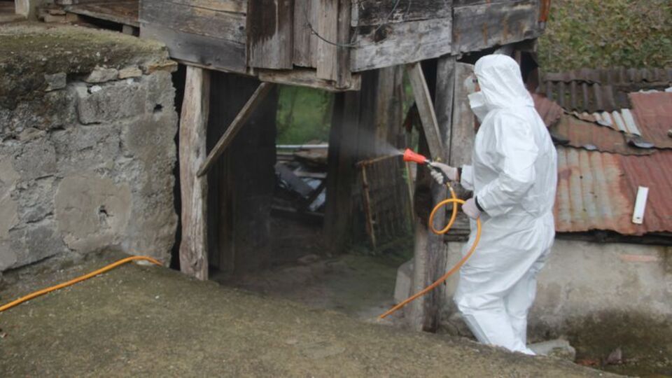 Ordu'da kışlaklarda "kokarca" ilaçlaması