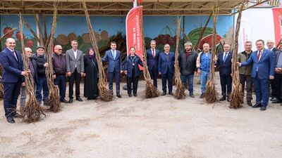 Bilecik'te çiftçilere 35 bin fidan dağıtıldı