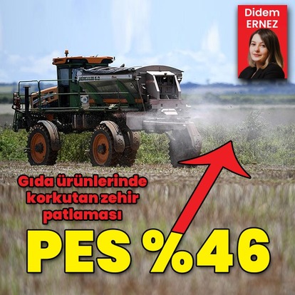 Pestisit kullanımı meyve ve sebze üretimini katladı