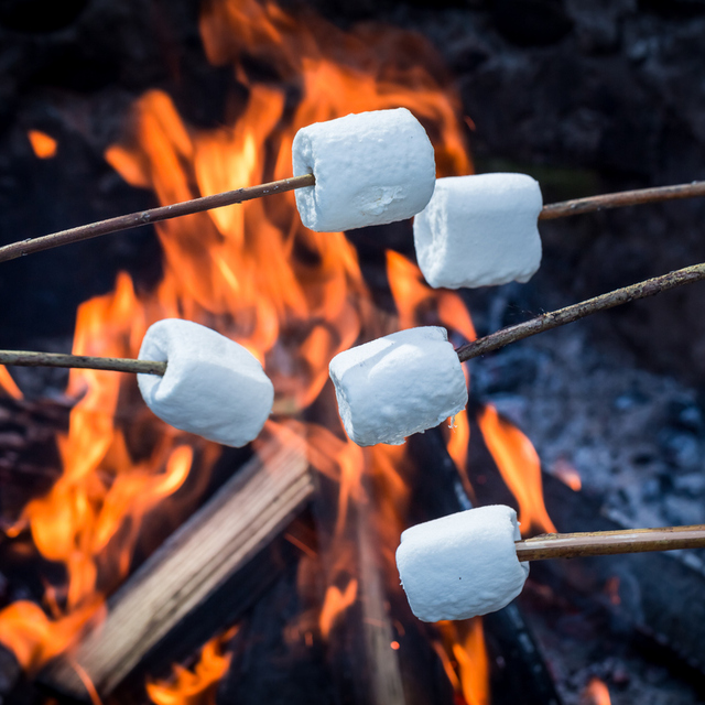  Marshmallow aslında bir bitkiymiş!