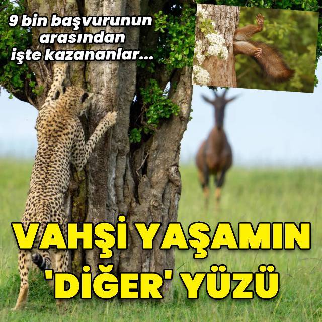 Vahşi yaşamın 'diğer' yüzü