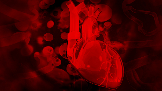  Kalbin 'mini beyni' keşfedildi